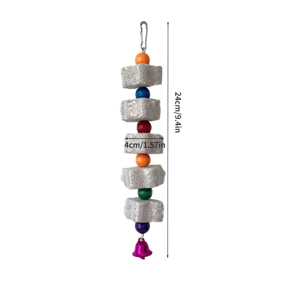 Bird Volcanic Rock Molar 1