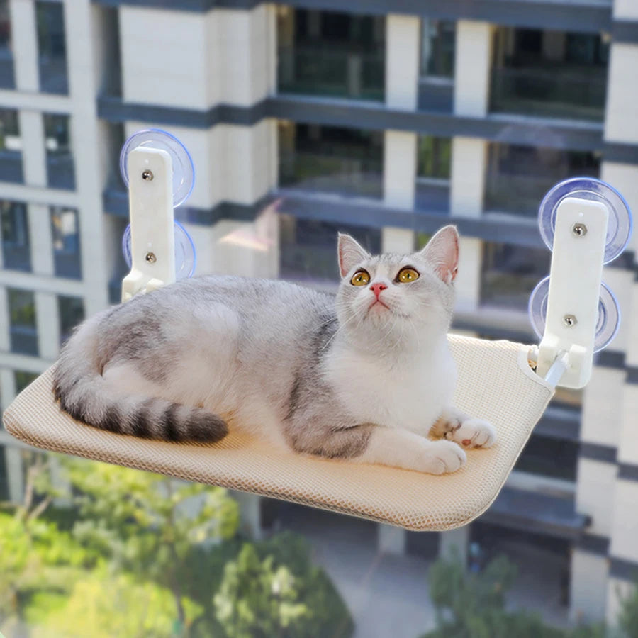Cat Window Hammock Bed 1