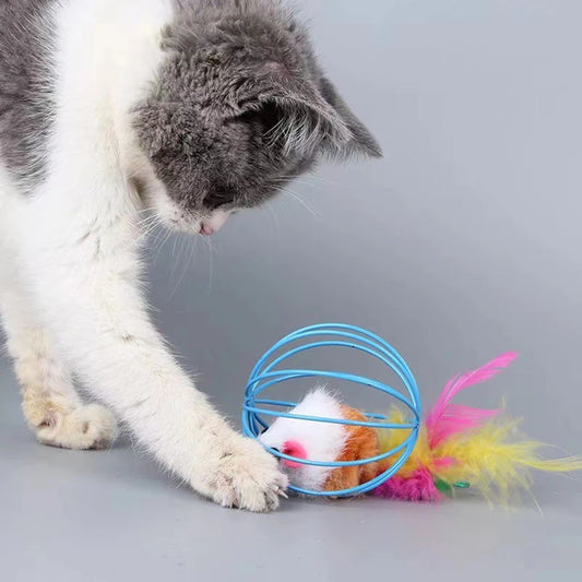 Mouse Rolling Ball