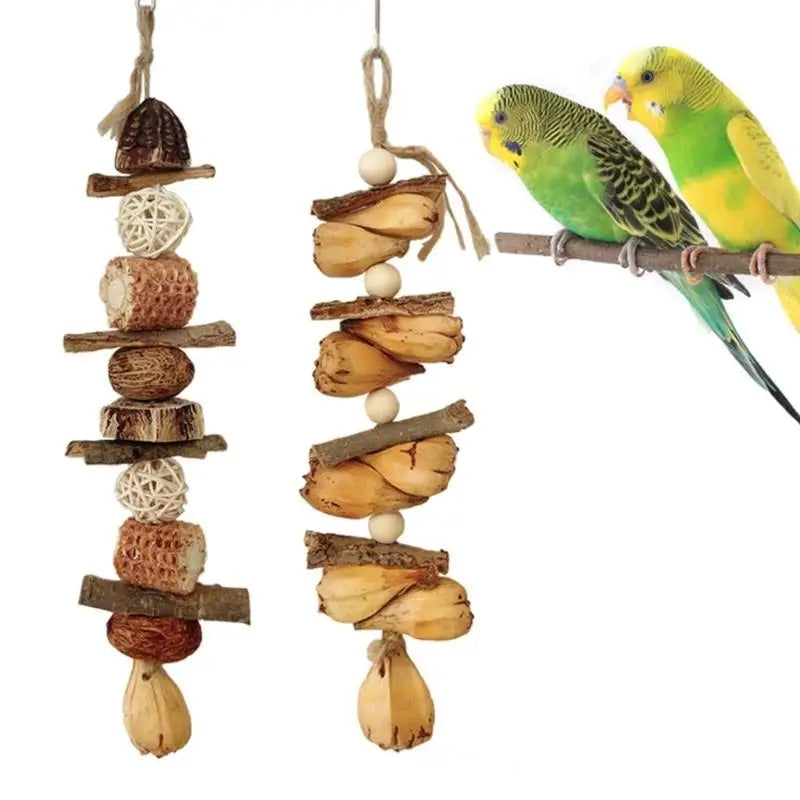 Beak Grinding Training Toy