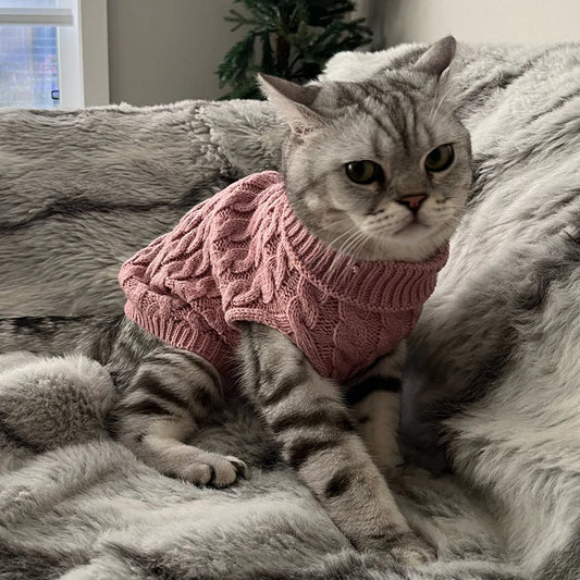 Small Dog Knitted Sweater 1