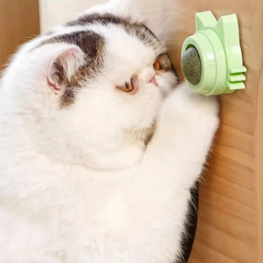 Catnip Lollipop Toy