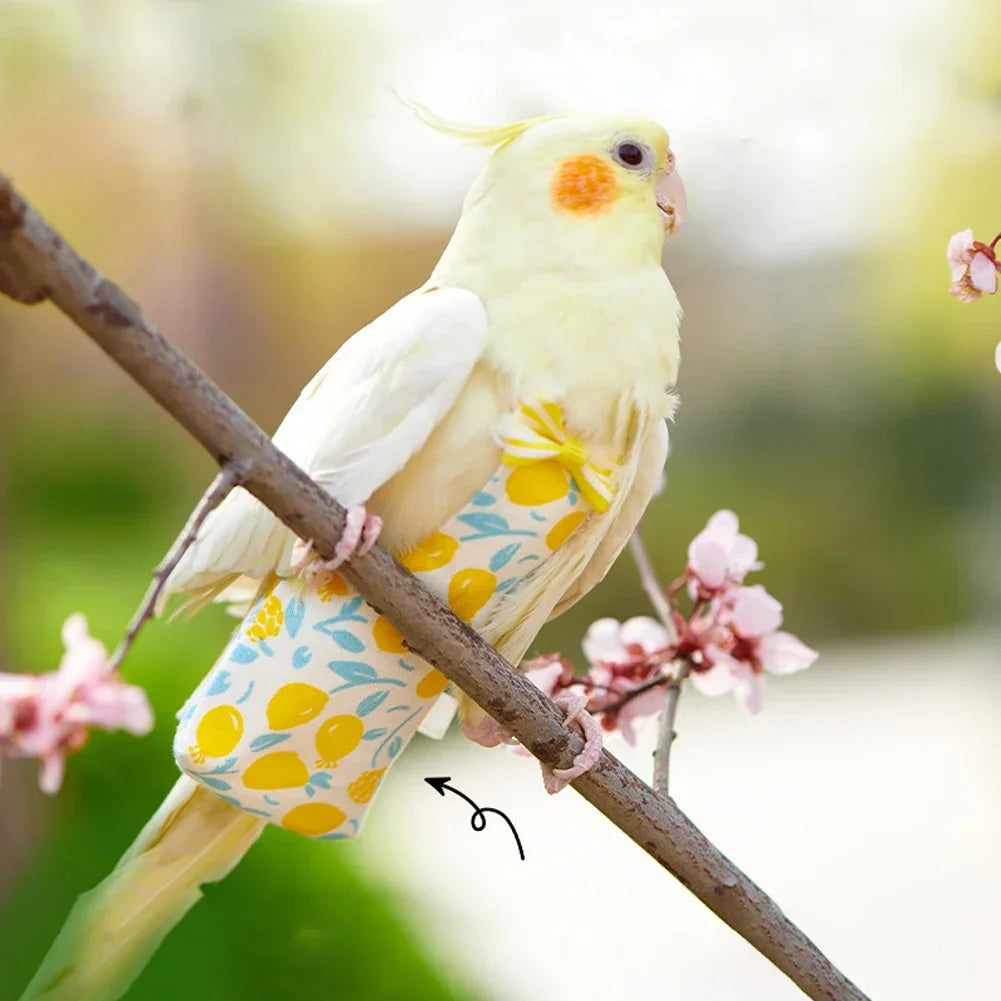 Floral Parrot Diaper