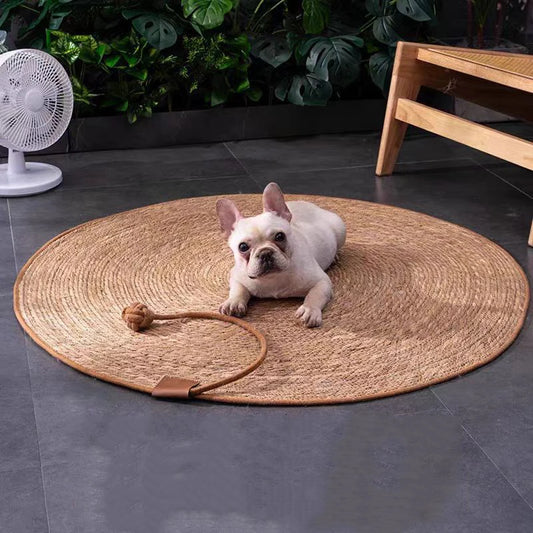 Cat Scratching Board 2