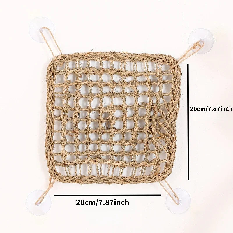 Bearded Dragon Hammock