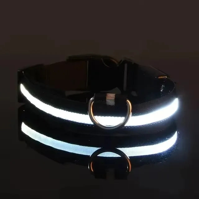 Led Glowing Collar