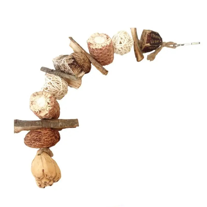 Beak Grinding Training Toy