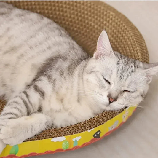 Cat Scratching Board 4