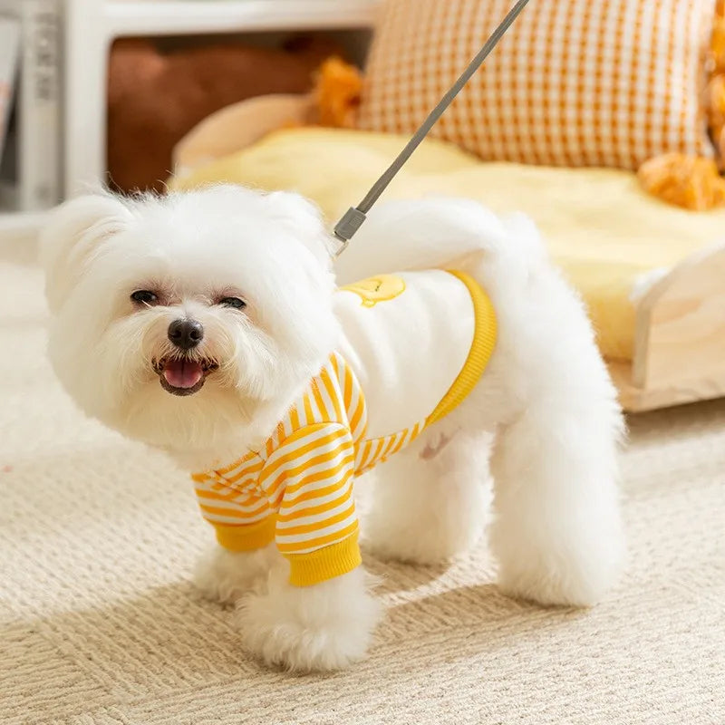 Small Dog Cute Hoodie Jacket