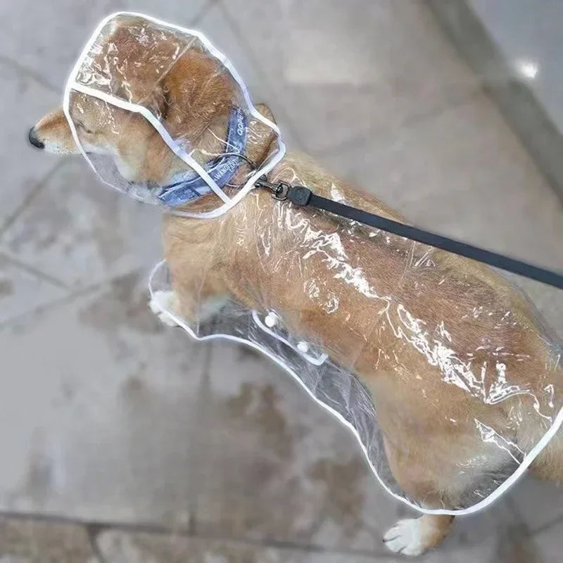 Small Dog Raincoat