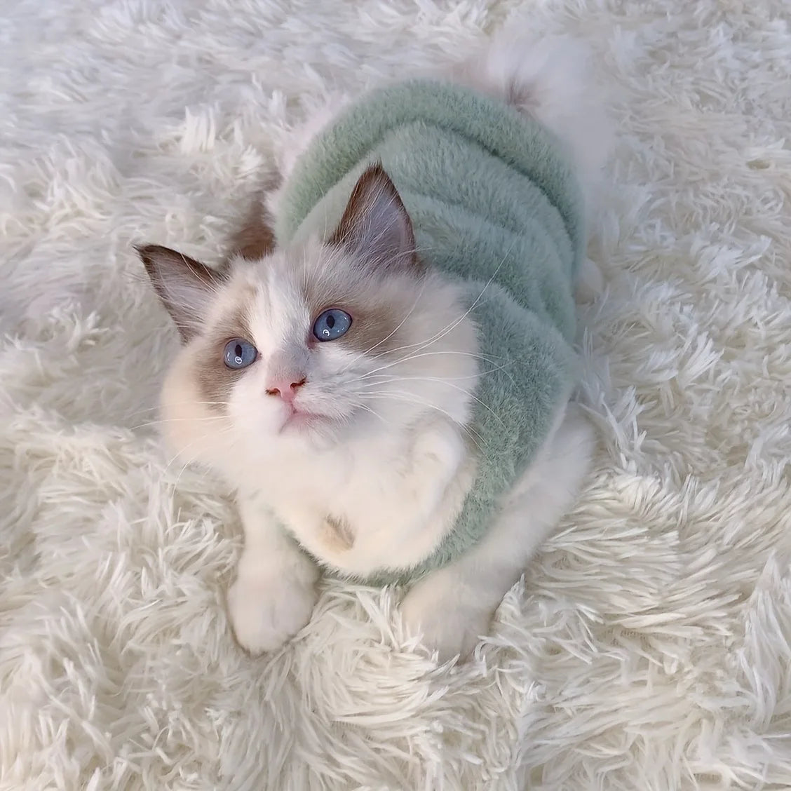 Cat Cute Warm Vest