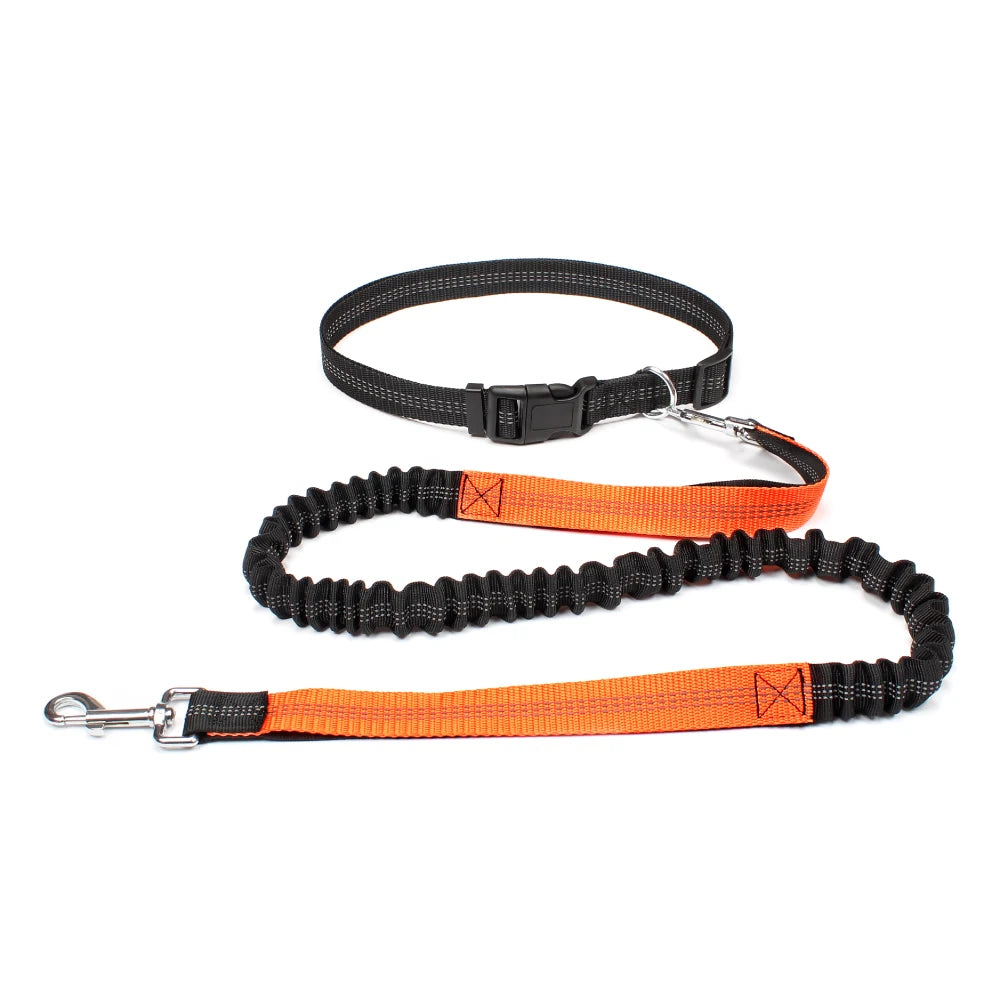 Hand Free Leash for Jogging