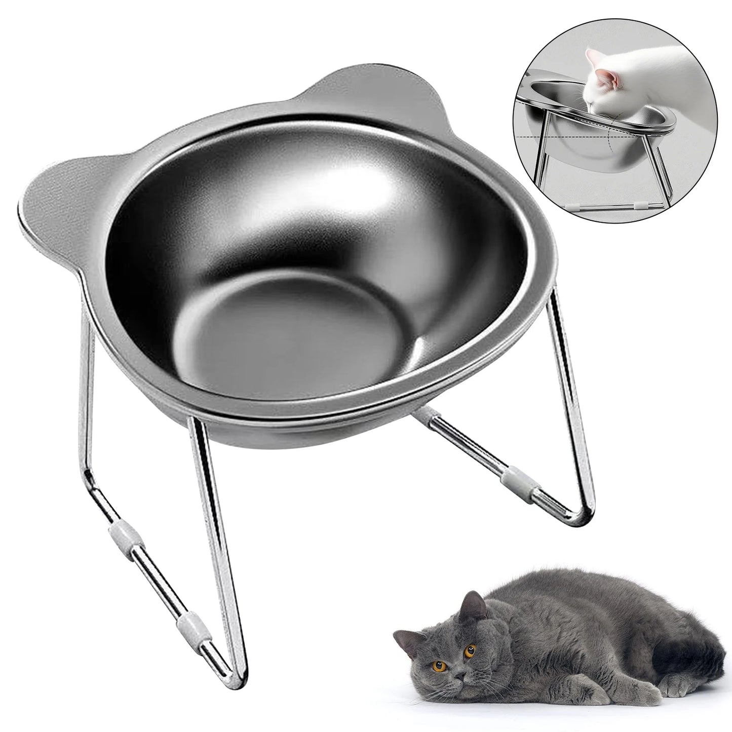 Dual Use Feeder with Non Slip Base