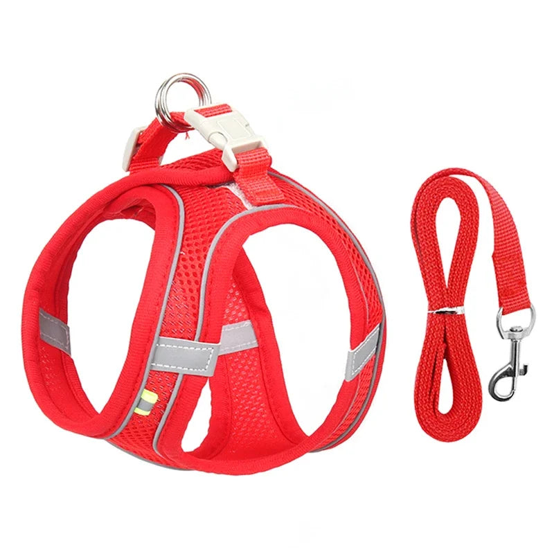 Puppy & Small Dog Harness Set – Leash Included
