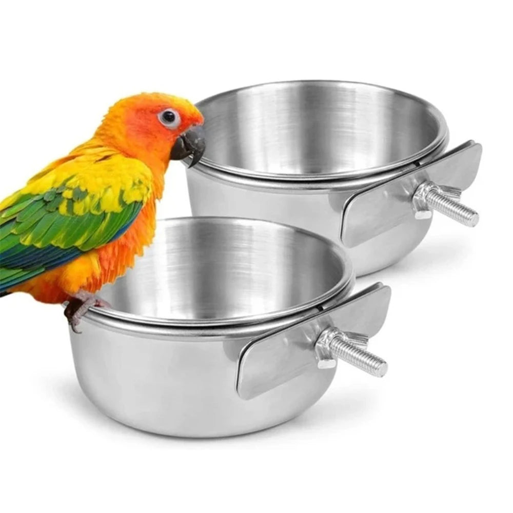 Stainless Steel Feeder