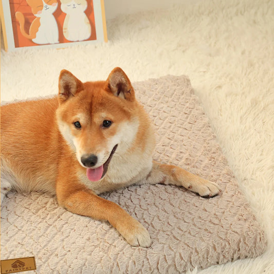 3D Foam Orthopedic Bed