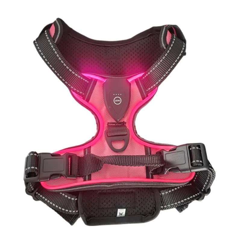 LED Luminous Harness