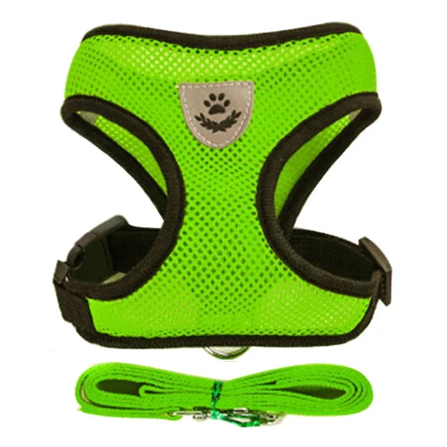 Cat Harness and Leash 2