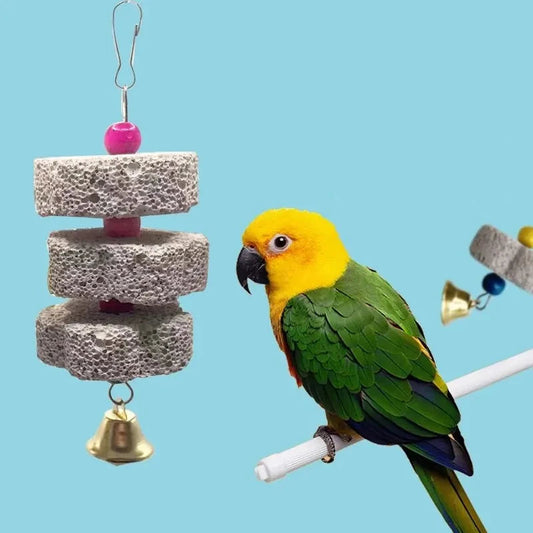 Bird Volcanic Rock Molar 2