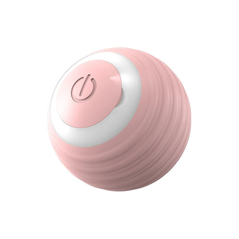 Interactive Ball Toy 4