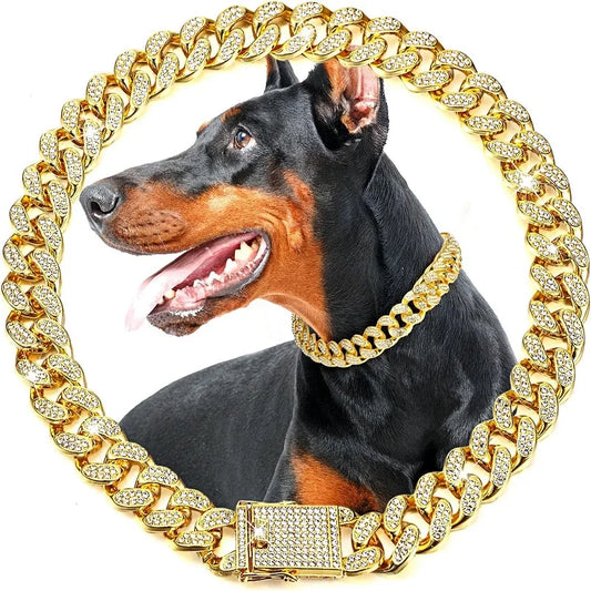 Golden Luxury Chain Collar