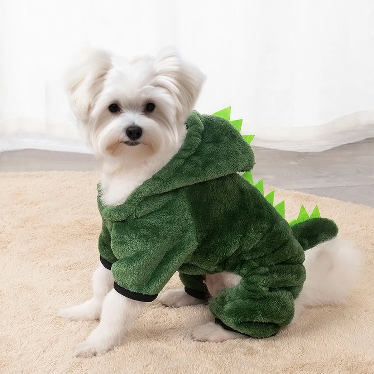 Dinosaur Costume 1