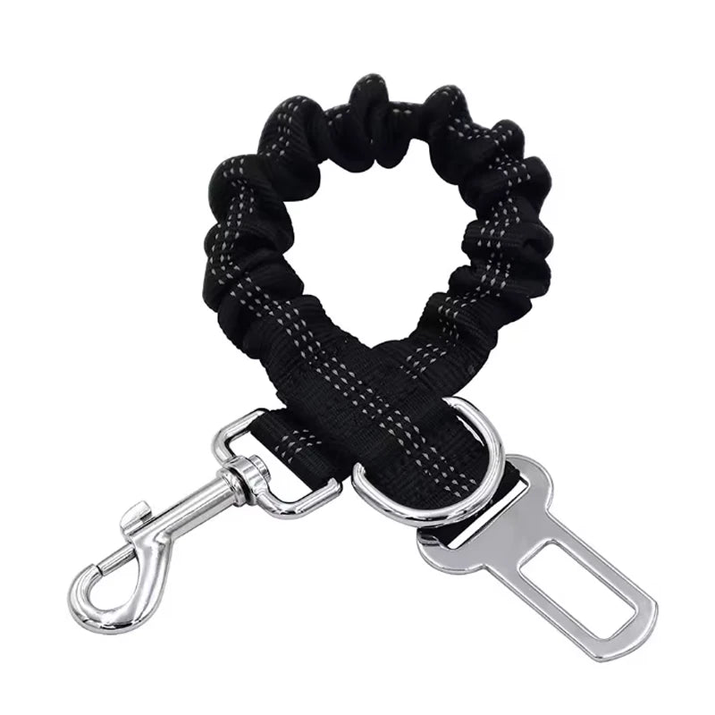 Car Safety Seat Belt Leash
