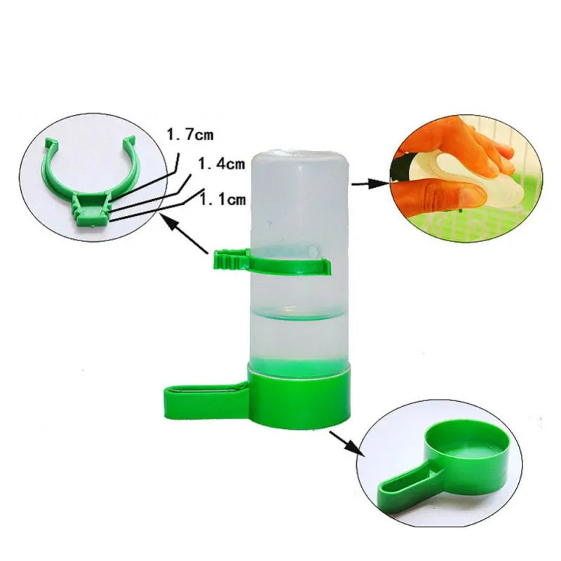 Birds Feeder & Water Dispenser