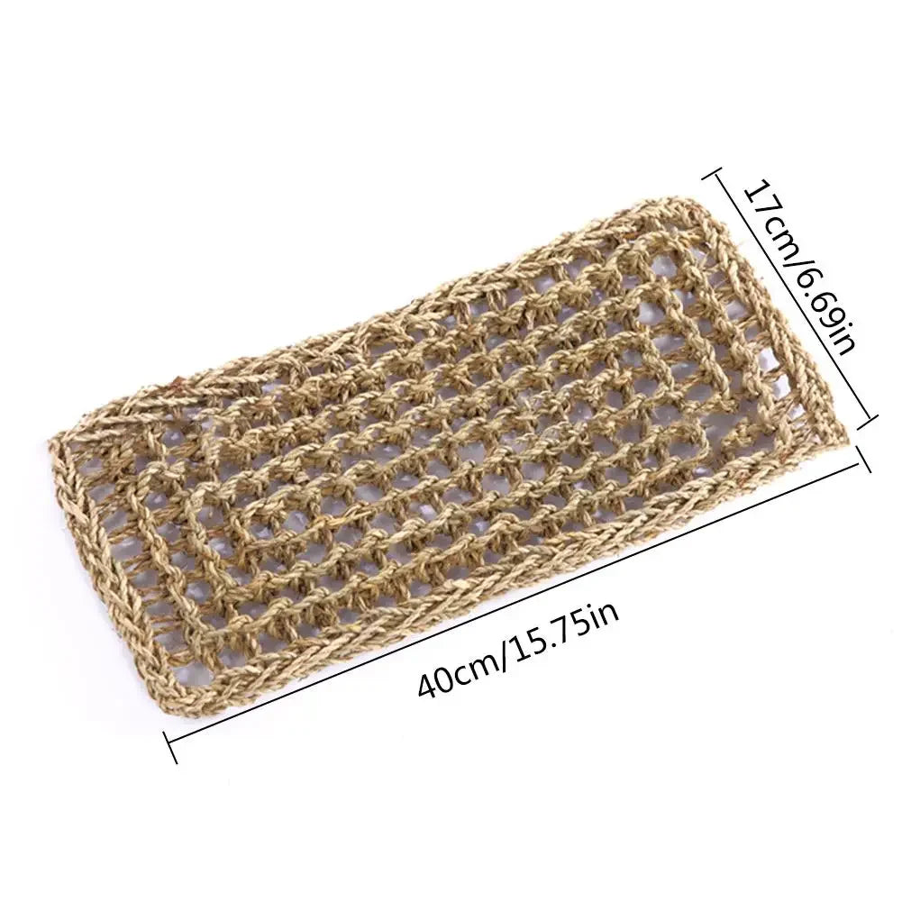 Bearded Dragon Hammock