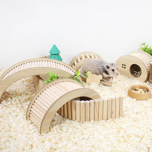 Hamster Climbing Ladder