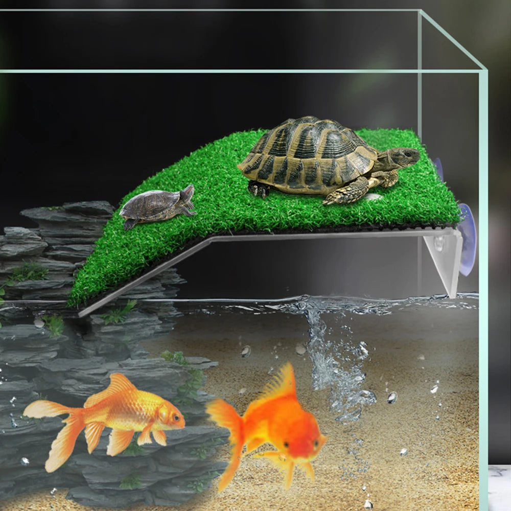 Turtle Basking Platform