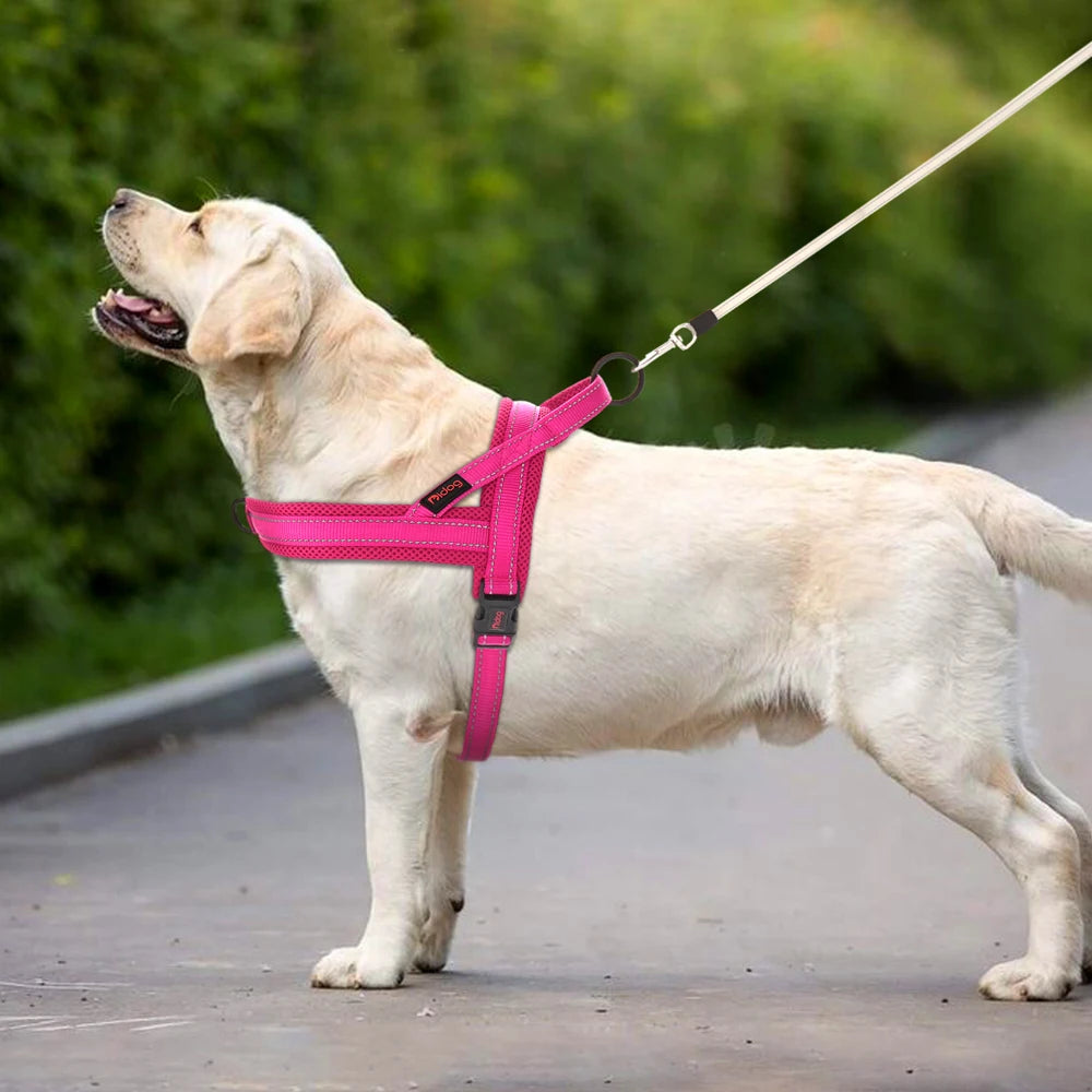 Reflective No-Pull Padded Harness