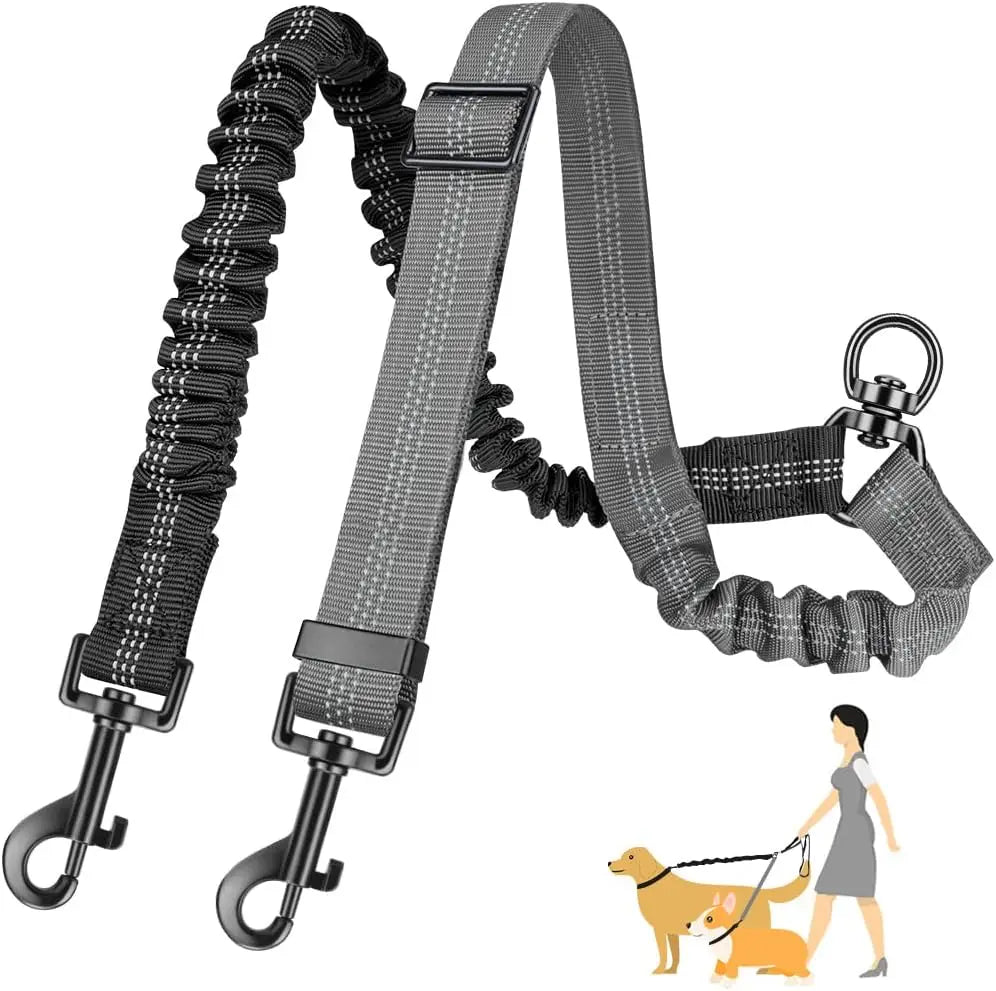 Adjustable Bungee Leash
