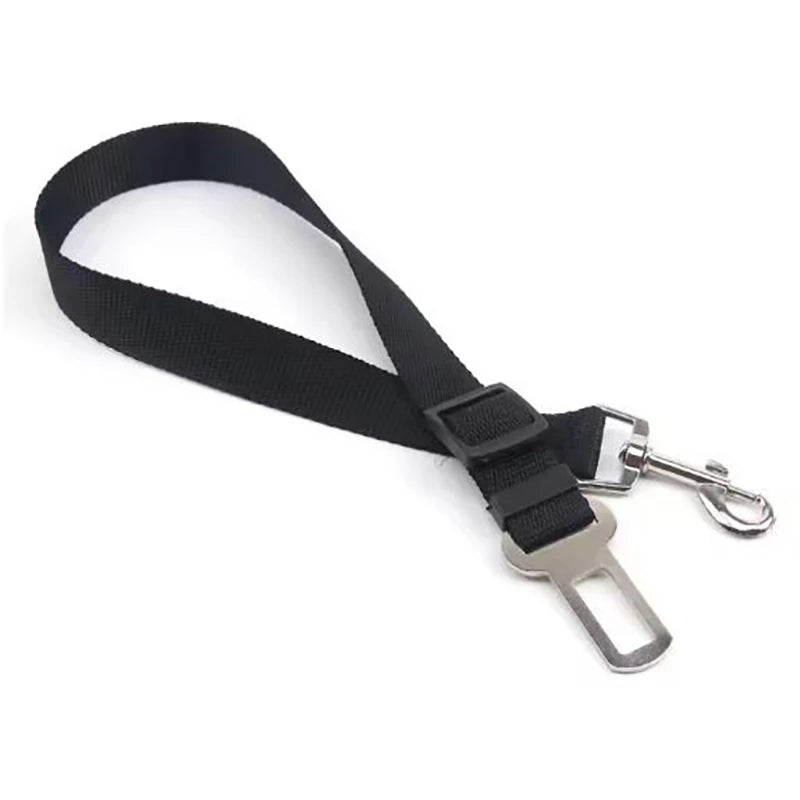 Car Safety Seat Belt Leash