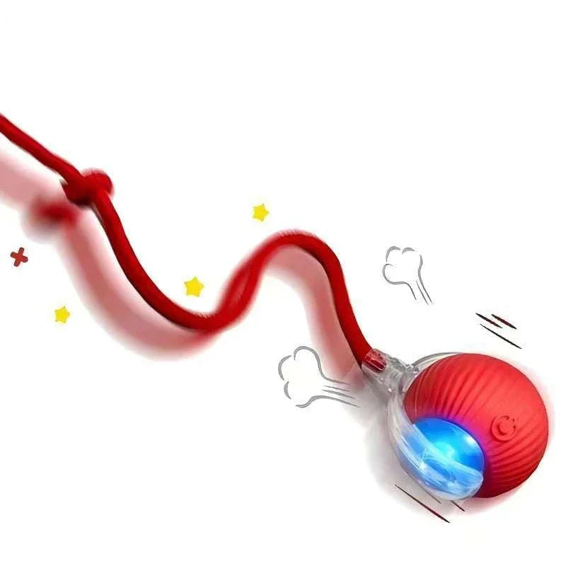 Interactive Ball Toy