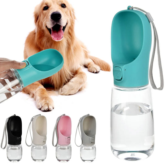 Portable Water Bottle