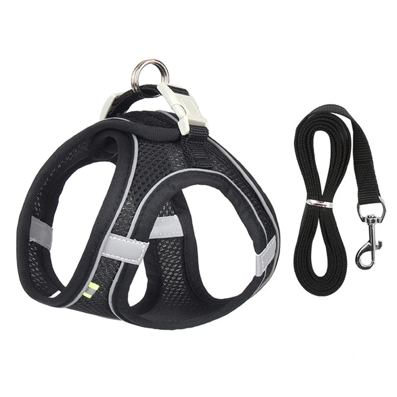 Adjustable Harness Set – Leash Included