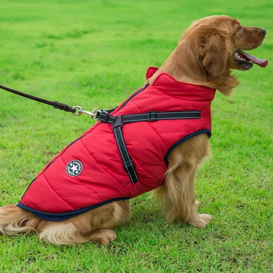 Large Dog Winter Jacket