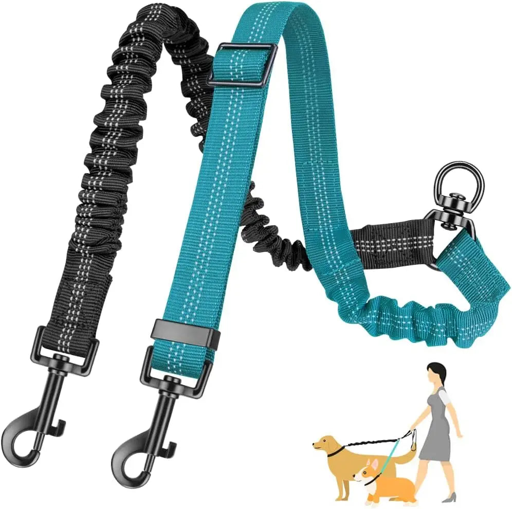 Adjustable Bungee Leash