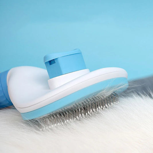 Cat Brush 2