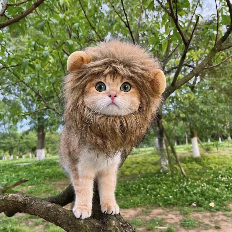 Lion Mane Costume Hat
