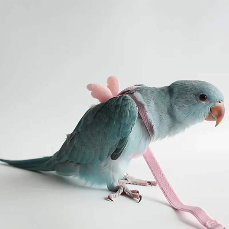Bird Flying Harness