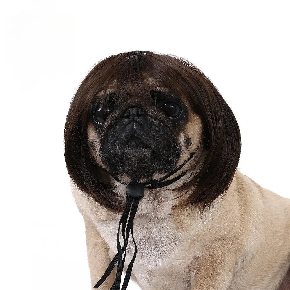 DIY Pet Wig