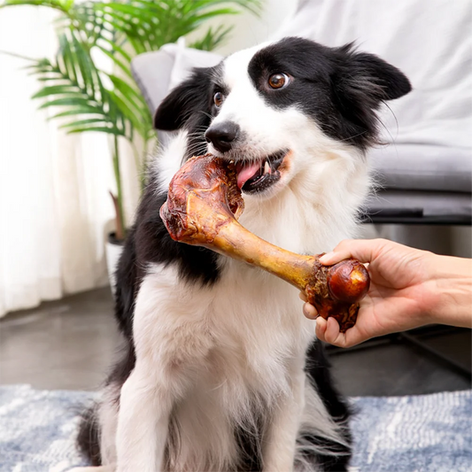 Large Cow Bone Dog Treats