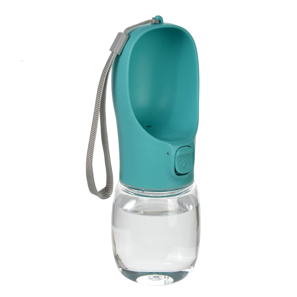 Portable Water Bottle