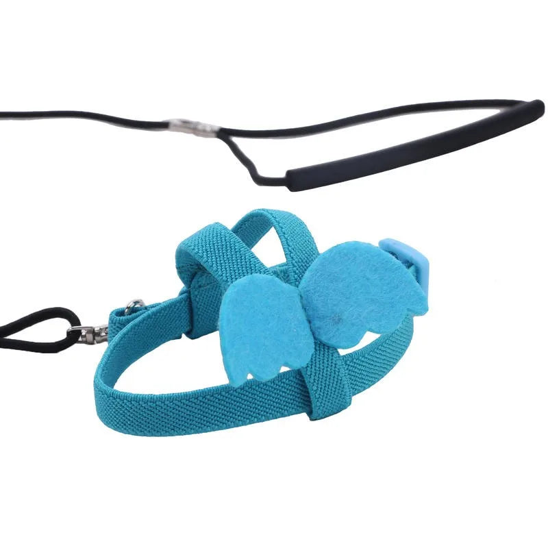 Parrot Harness Leash