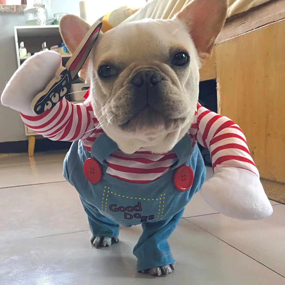 Funny Dog Cosplay
