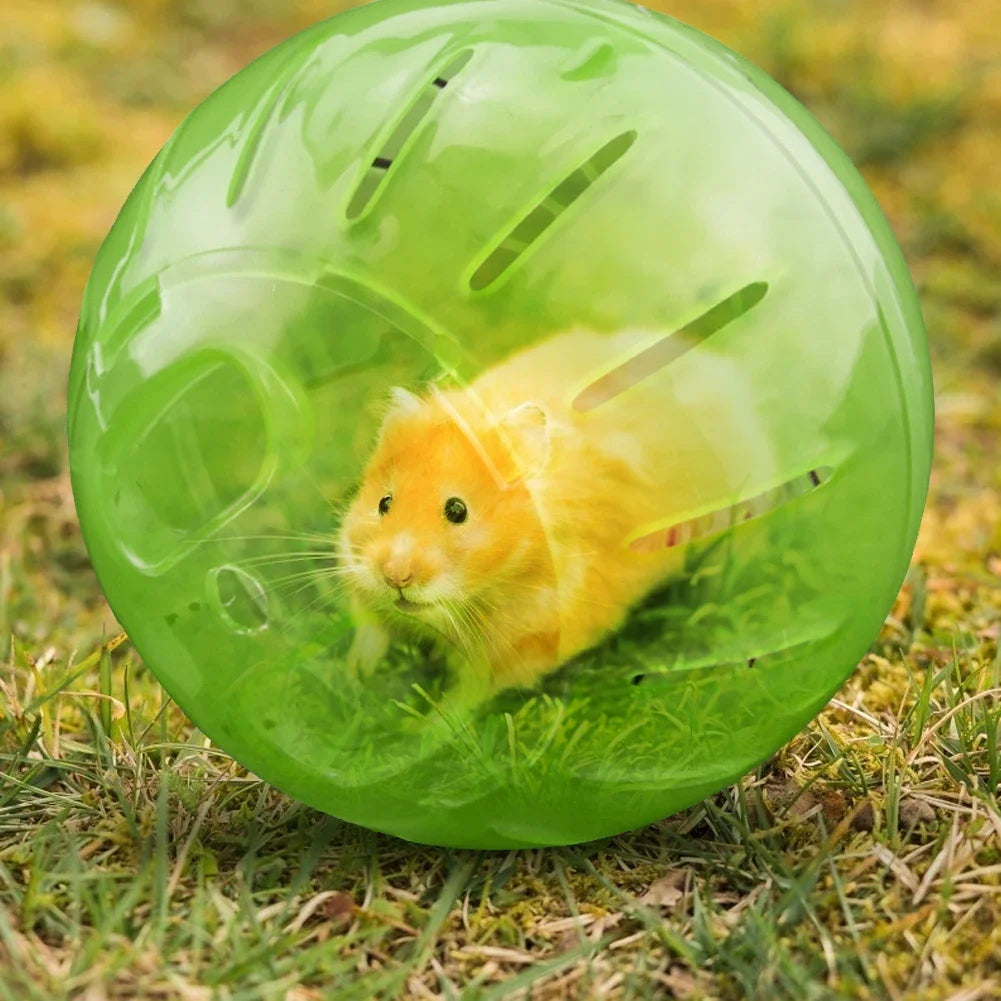 Hamster Running Ball