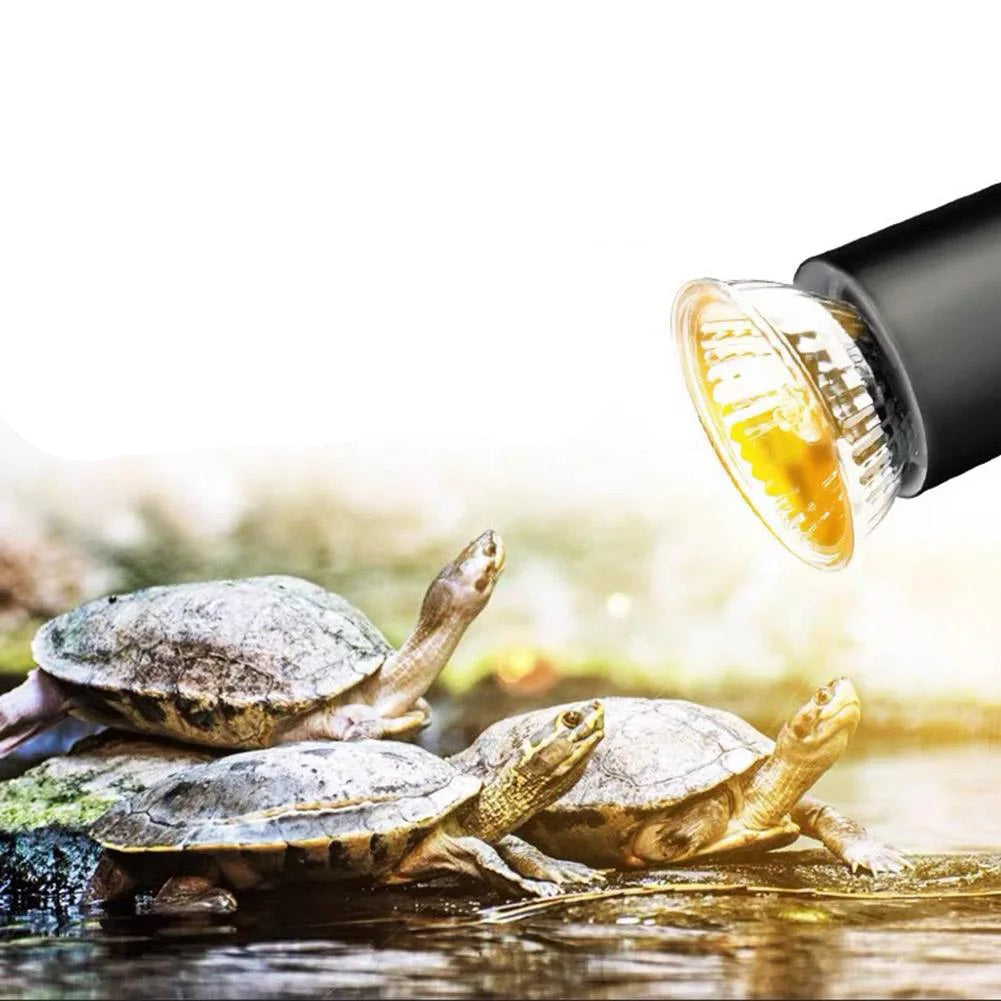 Reptile Heat Lamp UVA+UVB