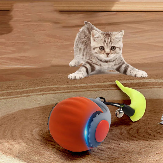 Interactive Ball Toy 3